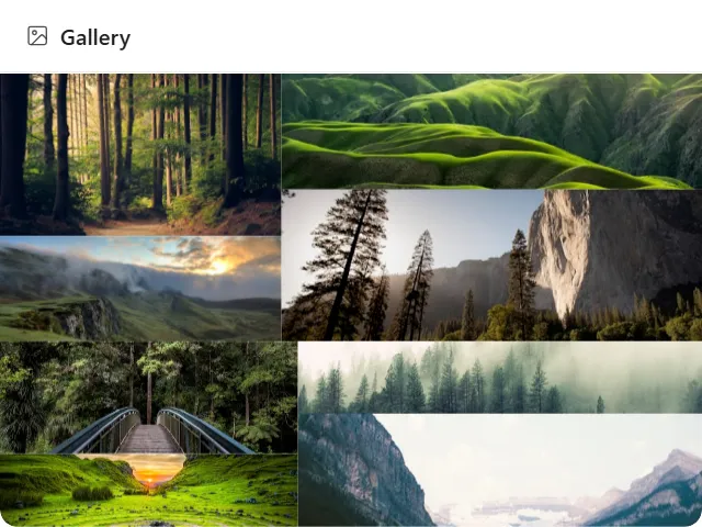 Gallery