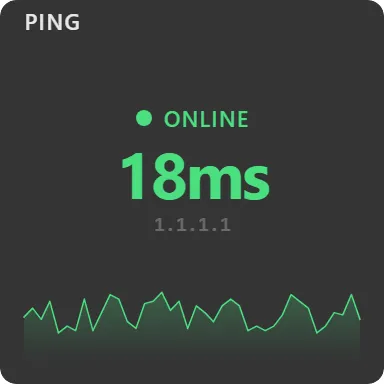 Ping